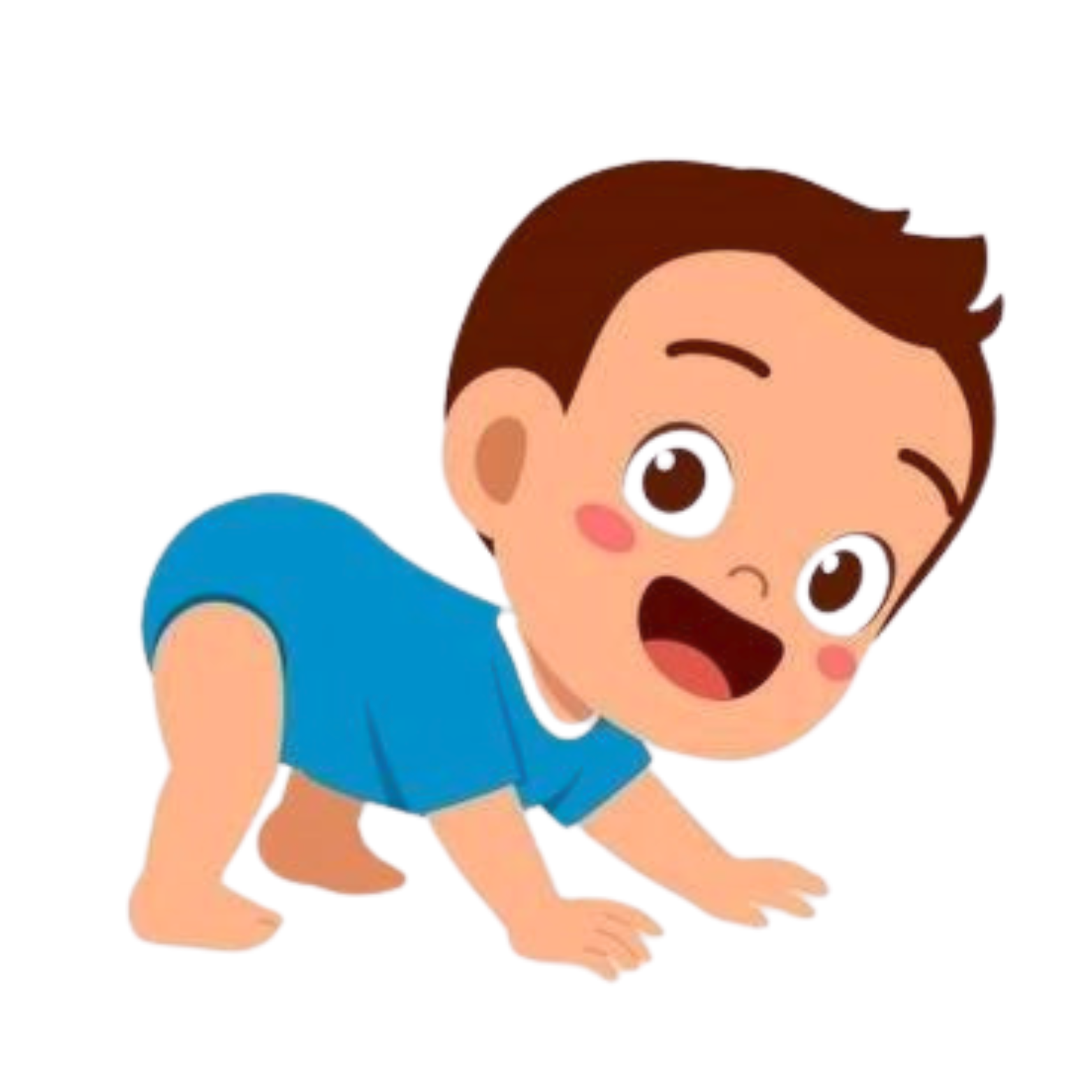 6 - 12 Months