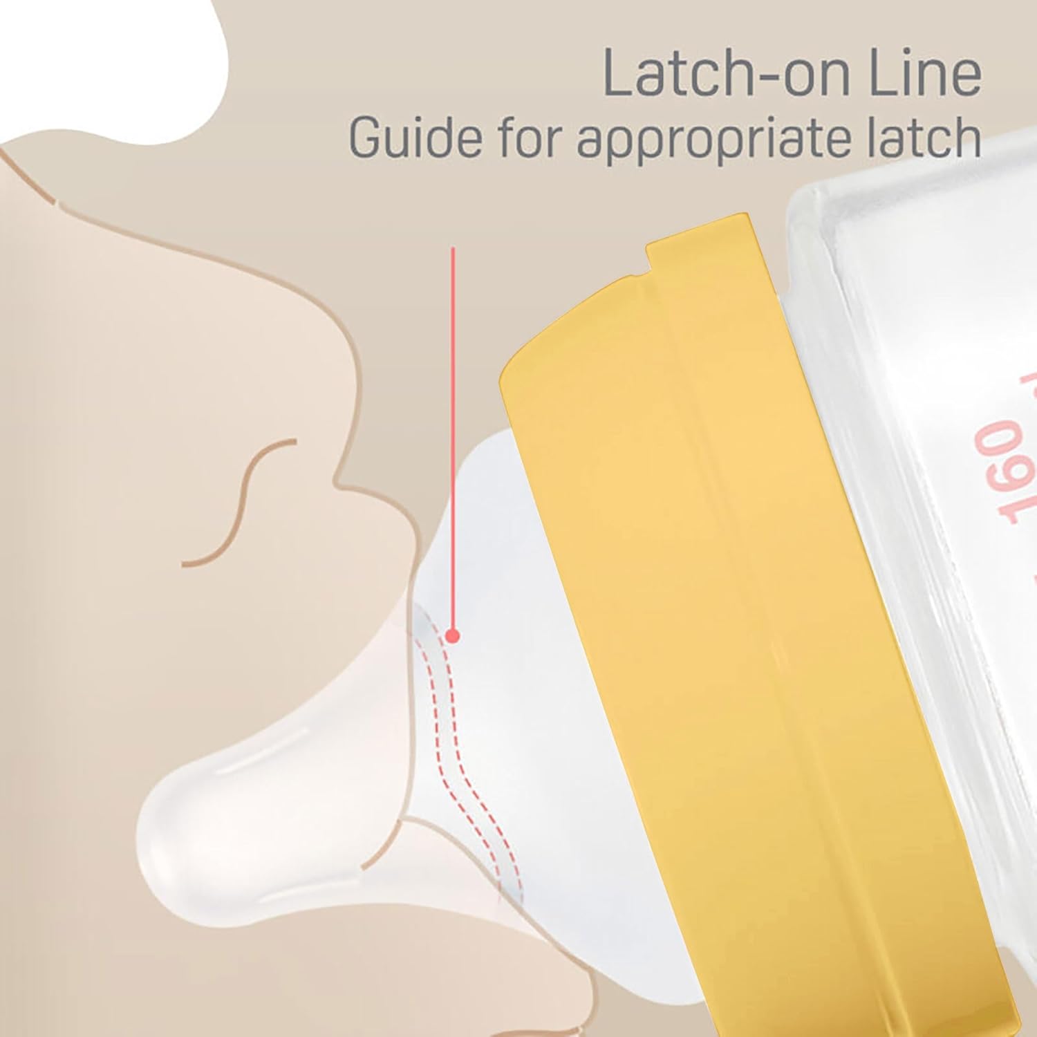 Pigeon Soft Latch PP Bottle for seamless switch between breast & bottle |  BPA/BPS Free (240ml/8oz) - 3M+